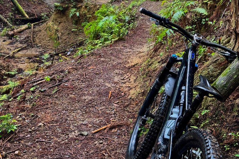 Osaka E MTB Trail Ride: Katsuo-ji Temple & Pilgrim Trails Advanced E-MTB Trail Experience Katuo-ji temple