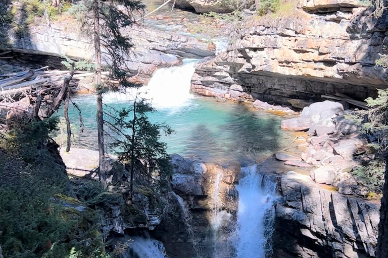 Banff: Lake Louise en Johnston Canyon PendeldienstVanaf de busparkeerplaats van het Mount Royal Hotel