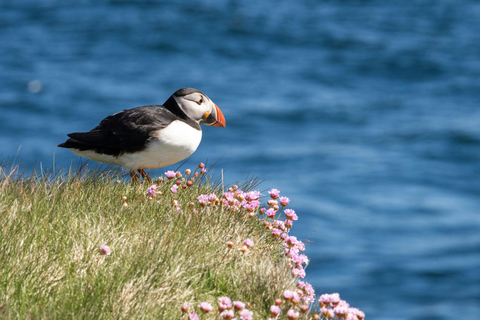 Reykjavik: Glacier Lagoon & Diamond Beach Private Tour