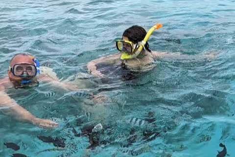 Zanzibar: Mnemba Snorkeling & Sea Turtle Swim Private Tour without hotel transfer