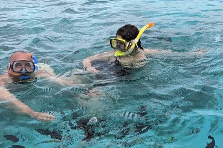 Zanzibar: Mnemba Snorkeling & Sea Turtle Swim Private Tour without hotel transfer