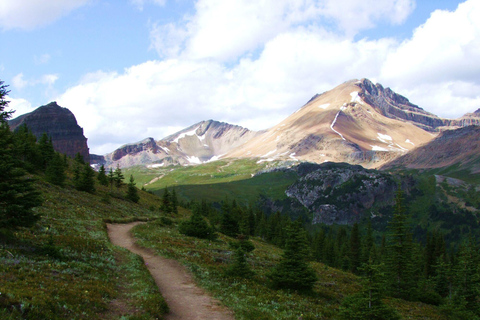 Banff: PRIVATE Guided Nature Walk - 2hrs