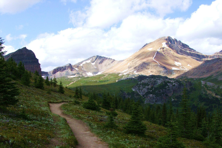 Banff: PRIVATE Guided Nature Walk - 2hrs