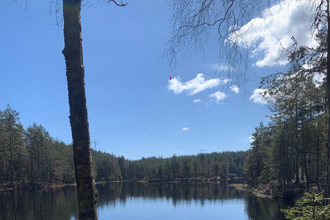 Oslo: escursione guidata nel Parco Nazionale di Østmarka con cibo cotto sul fuocoOslo: escursione guidata al Parco Nazionale di Østmarka con cibo sul fuoco