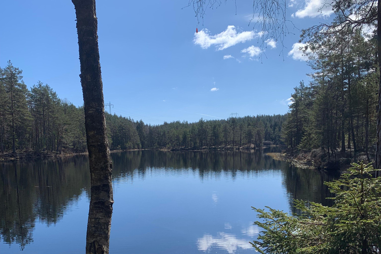 Oslo: escursione guidata nel Parco Nazionale di Østmarka con cibo cotto sul fuocoOslo: escursione guidata al Parco Nazionale di Østmarka con cibo sul fuoco