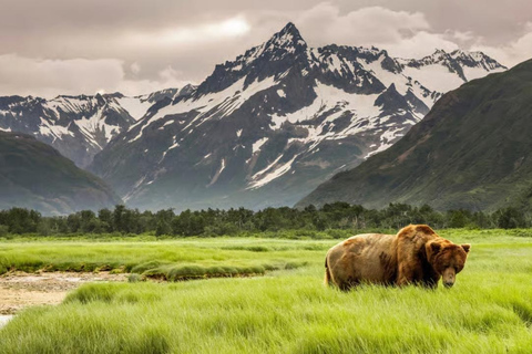 Fairbanks: Arctic Circle Day Tour with Guide