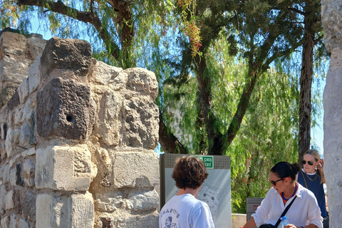 Bodrum: tour della città privato e guidato per crocieristi