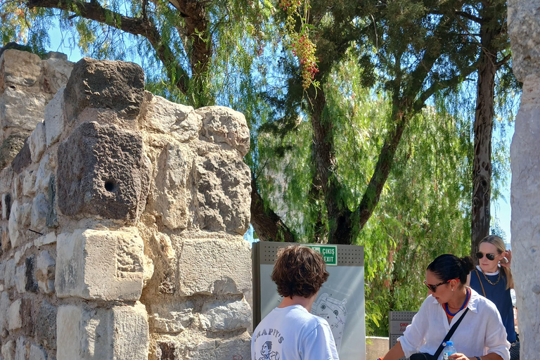 Bodrum: tour della città privato e guidato per crocieristi