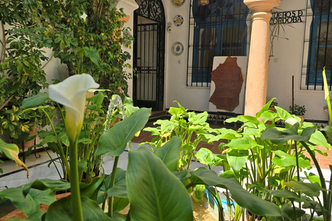 Seville: Cordoba and Carmona Guided Day Trip by Bus