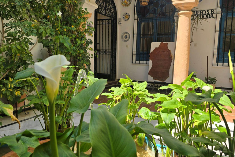 Seville: Cordoba and Carmona Guided Day Trip by Bus
