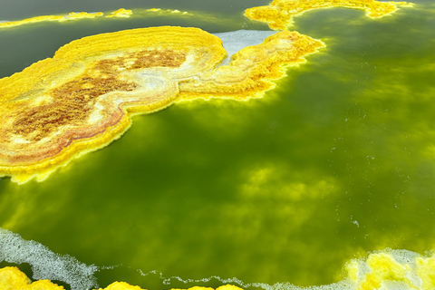 Wycieczki po depresji Dankile i dolinie Omo