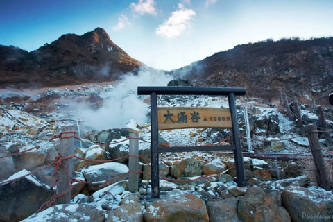 Tokyo : Excursion d'une journée autour du Mont Fuji, du lac Ashi, d'Owakudani et des OnsenPoint de rencontre à la gare JR de Tokyo 8h00