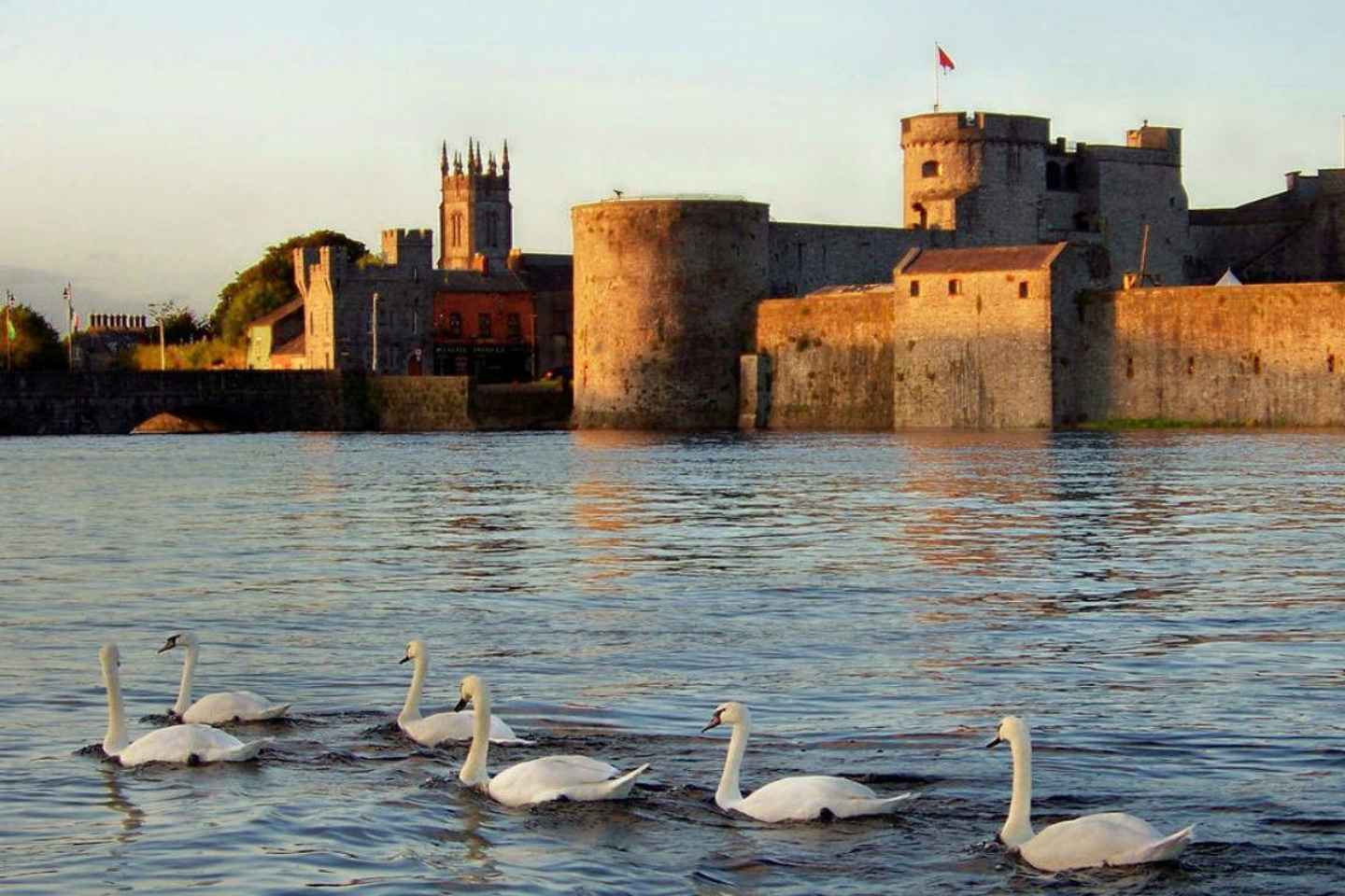 Limerick: Historic City & Milk Market Walking Tour