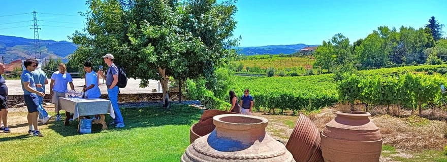 Porto : 3 régions viticoles et déjeuner à la ferme avec vue, en petit groupe