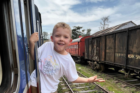 Kandy: Road-to-Rail Journey to Ella via Nuwara Eliya