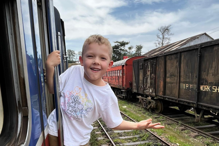 Kandy: Road-to-Rail Journey to Ella via Nuwara Eliya