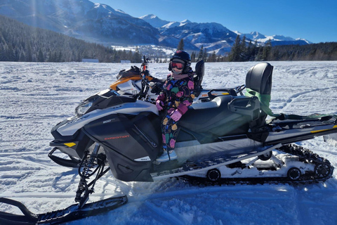 Zakopane: Snowmobile, Quad, or Buggy Tatra Mountains Tour
