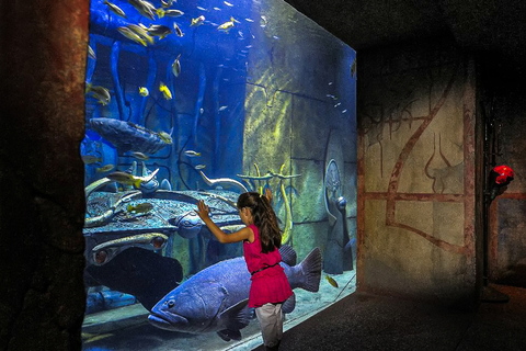 Dubai: Eintrittskarte für das Lost Chambers Aquarium