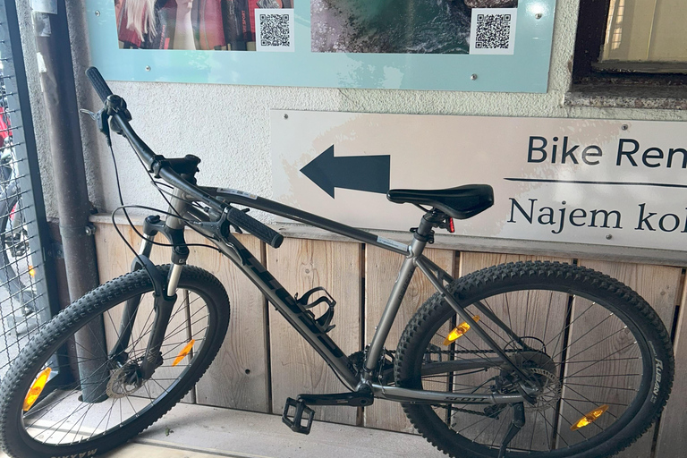Bled: Scott Mountain Bike or E-Bike Rental Electric bike 6h - Scott SUB