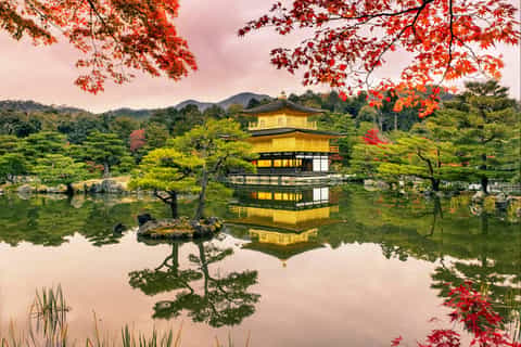 Kyoto/Osaka : Château de Nijō, Arashiyama et Kinkaku-ji, excursion d'une journée