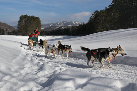 Mont-Tremblant: Guided Dogsledding Tour with Hot Chocolate Transport from Tremblant Resort