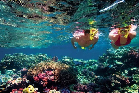 Hors-bord privé vers l&#039;île Gabriel, Coin de Mire et l&#039;île PlateHors-bord privé vers l&#039;île Gabriel, Coin de Mire et Flat Island