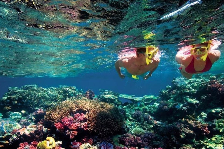 Hors-bord privé vers l&#039;île Gabriel, Coin de Mire et l&#039;île PlateHors-bord privé vers l&#039;île Gabriel, Coin de Mire et Flat Island