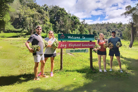 Chiang Mai: Elephant Observation & Wang River Bamboo Rafting