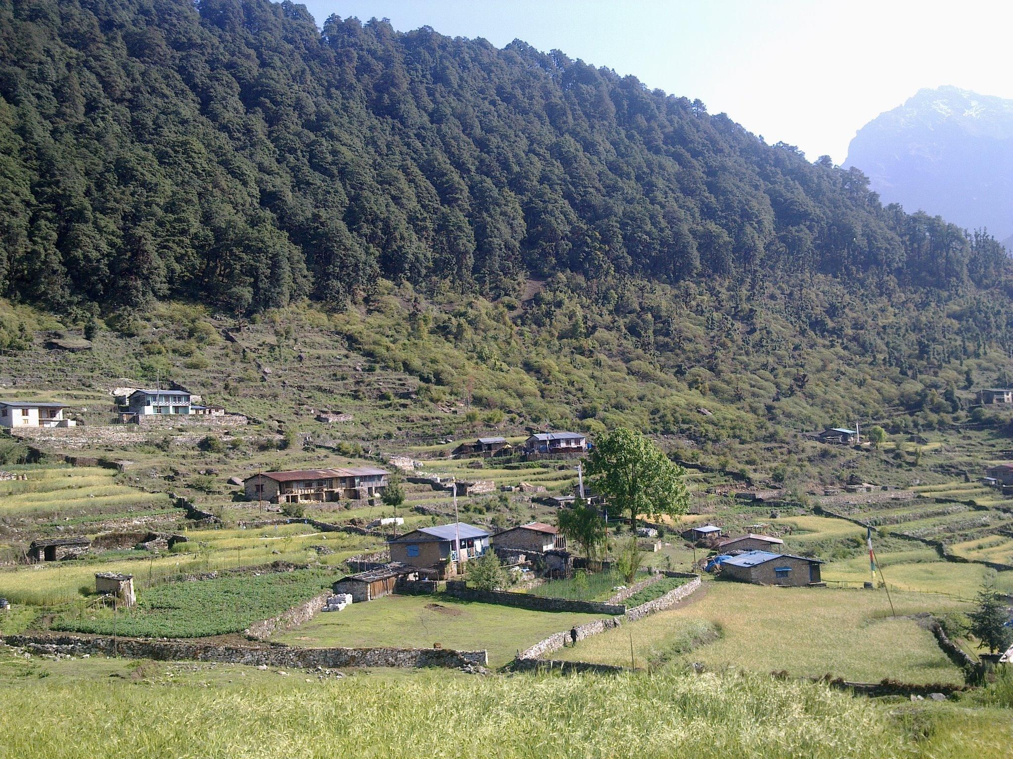 Helambu, Nepal: Achtsame Wanderung & Meditationstour