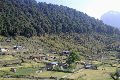 Helambu, Nepal: Mindful Trek & Meditation Tour