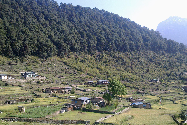 Helambu, Nepal: Mindful Trek & Meditation Tour