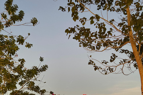 宿雾：Sirao 花园、莉亚神庙和 La Vie 之旅宿务：西劳花园、莉亚神庙和 La Vie 之旅