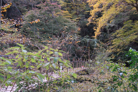 Abenteuer Mount Takao: Entdecke Natur und Tradition in Tokio