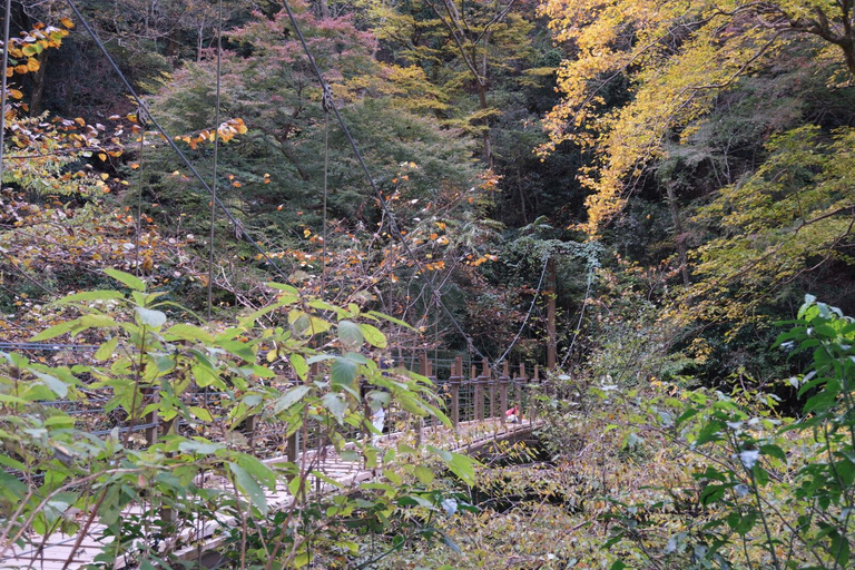 Avventura sul Monte Takao: Scopri la natura e la tradizione a Tokyo