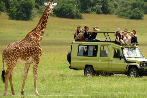 4-tägige Midrange-Safari Amboseli/Tsavo West/Tsavo Ost