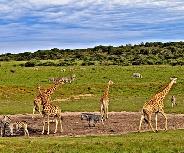 3 days Tsavo East and Saltlick safari from Diani/Mombasa