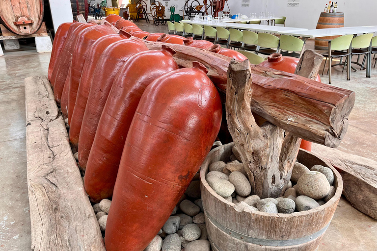 De Ica ou Huacachina: Pisco, vinho e buggy ao pôr do sol