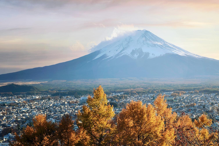 Tokyo: Private Mt. Fuji Luxury Day Tour – Fully Customizable Luxury Land Cruise Customizable Tour