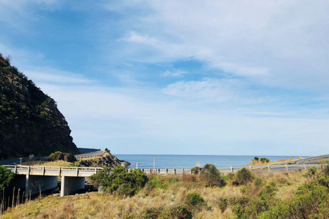 Melbourne: Excursão panorâmica de um dia pela Great Ocean Road