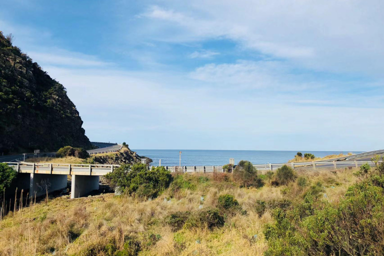 Melbourne - Great Ocean Road Scenisk dagstur på Great Ocean Road