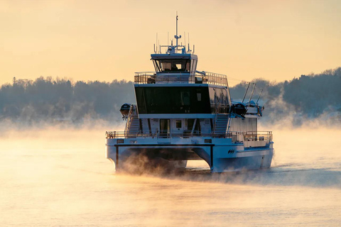 Oslo: Afternoon Tea Cruise with Live Classic Music