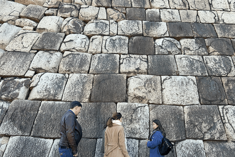 Tokyo: Tour storico a piedi del Palazzo Imperiale e del Castello di Tokyo