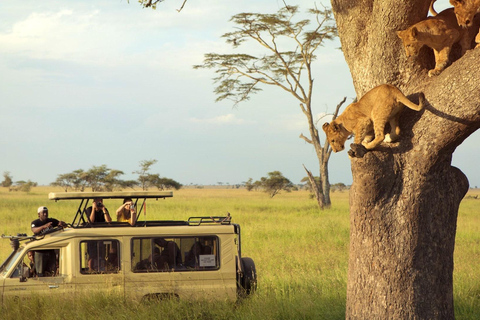 2 Days Private Budget Safari from Moshi