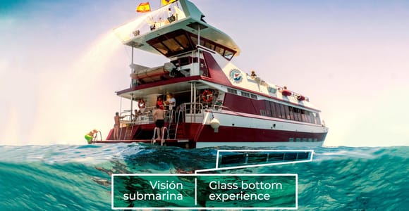 ADEJE: Whale and Dolphin Watching Cruise with Lunch and Swim