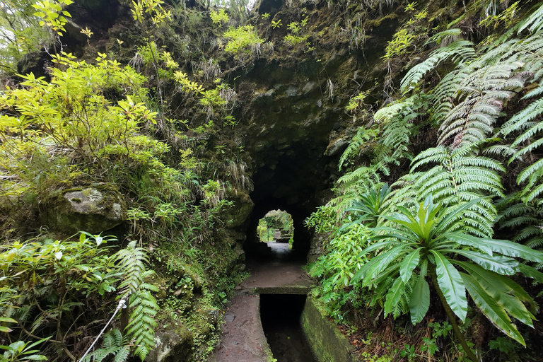 Madeira: PR17 Bica da Cana Encumeada Guided Hike with Pickup Madeira: Bica da Cana to Encumeada Guided Hike with Pickup