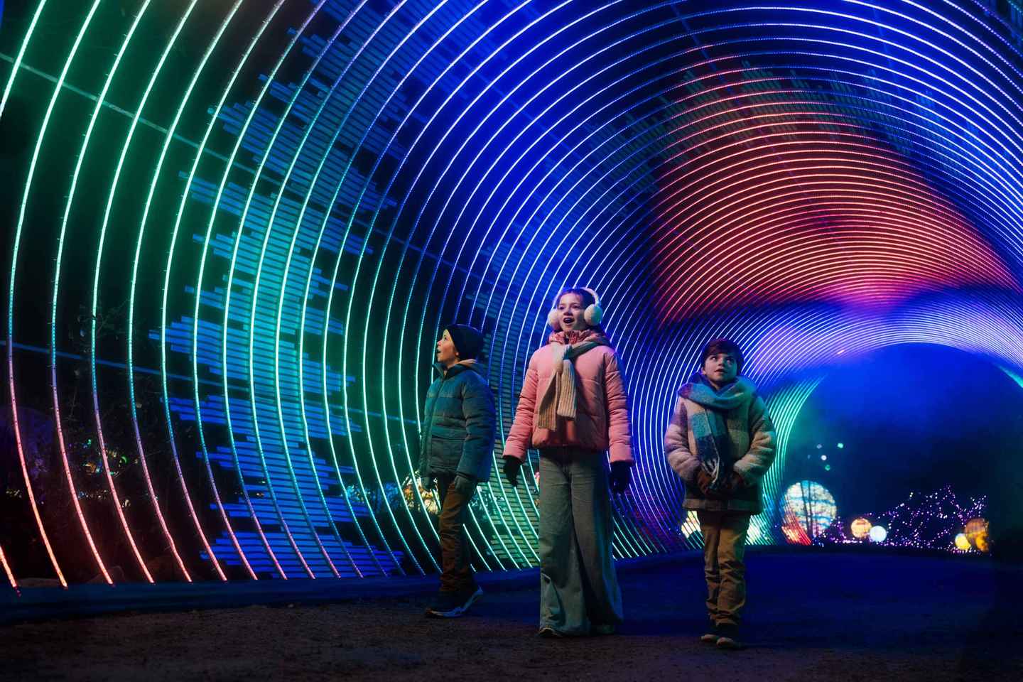 Hilvarenbeek: Light Safari at Beekse Bergen