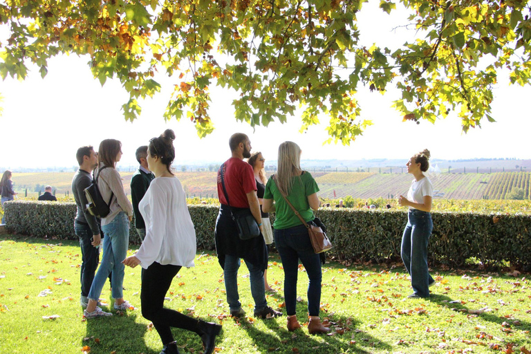 Epanomi Wine Escape: Fine Wines, Vineyards & Wine Museum