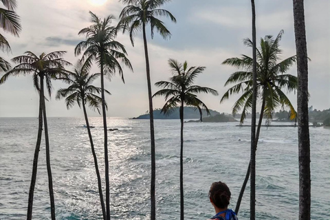 Colombo / Negombo - Yala Day Tour & Sightseeing Galle Fort