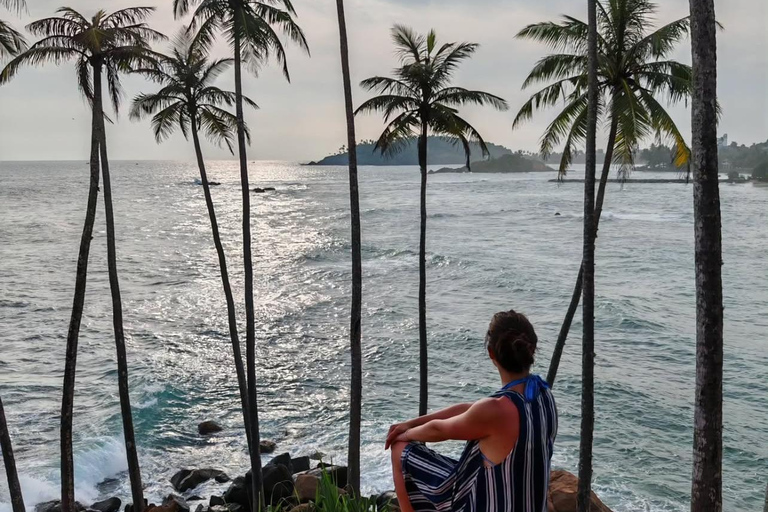 Colombo / Negombo - Yala Day Tour & Sightseeing Galle Fort