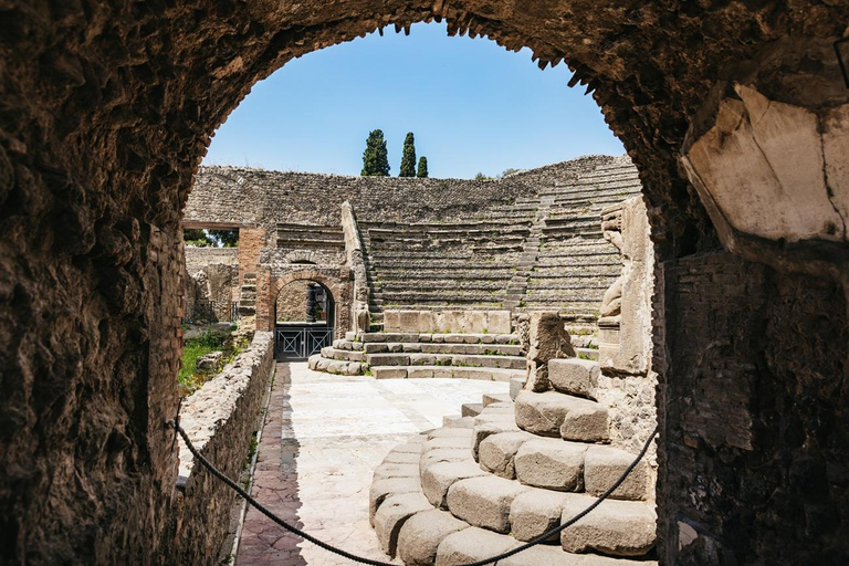 From Naples: Pompeii Shore Excursion for Cruisers with Guide From Pompeii: Guided Tour + Entry Ticket